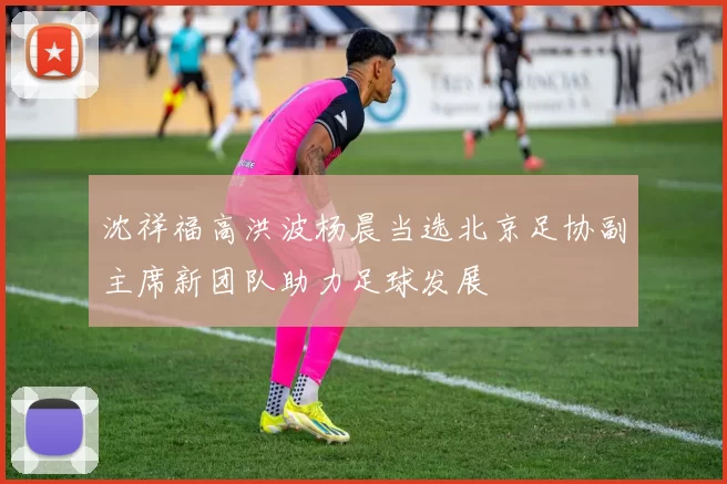 沈祥福高洪波杨晨当选北京足协副主席新团队助力足球发展