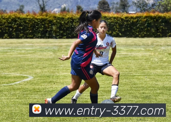 3377体育APP 封面图